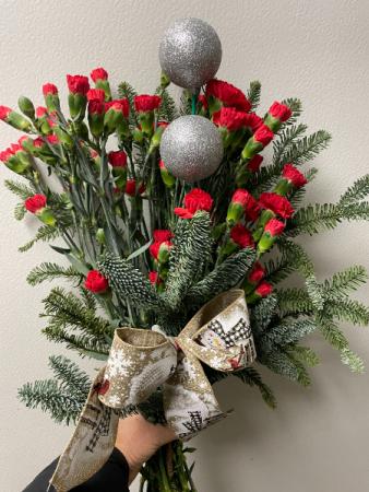 Mini Carnation Winter Bundle