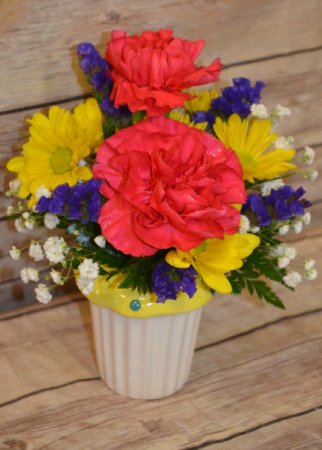 Mini Cupcake Container