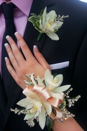 Mini Cymbidium Orchid