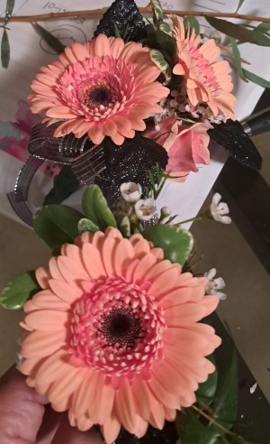 Mini Gerber Daisy Wrist Corsage and Boutinerre Prom/Homecoming