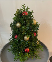 Mini greenery tree ONLY TWO LEFT!