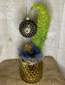 Grinch Tree 4.5" diameter pot 