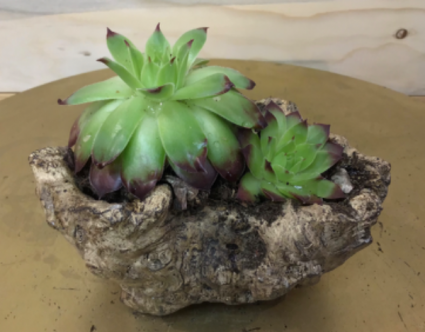 Mini planter