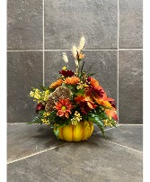 Mini Pumpkin Delight 