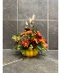 Mini Pumpkin Delight 