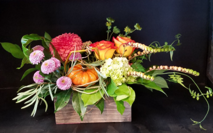 Mini Pumpkin Patch Fresh Floral Design