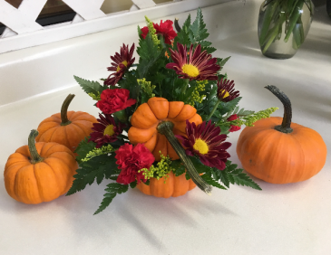 Mini pumpkins Fall