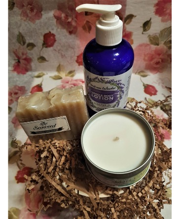  MINI SPA ALL ITEMS MADE IN NS. in Halifax, NS | Twisted Willow