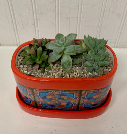 Mini Succulent Garden