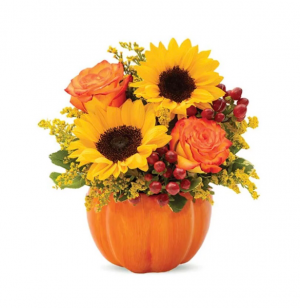 Mini sunflowers in a small pumpkin  Thanksgiving one sided arrangement 