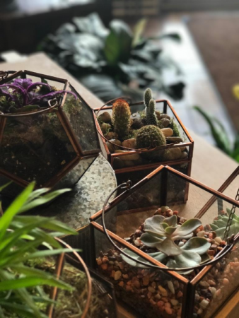 Mini Terrarium Farmhouse Collection