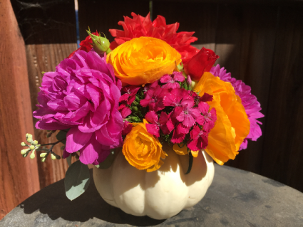 Petite Pumpkin Bouquet