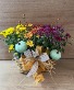Mix basket Mum Peanut Basket Mum 