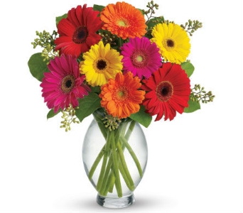  Mix Gerbera Daisy Arrangement Fresh Arrangement in Newmarket, ON | FLOWERS 'N THINGS FLOWER & GIFT SHOP