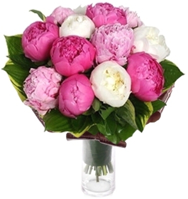 MIX PEONIES ARRANGEMENT