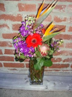 MIX TROPICAL For Him or Her