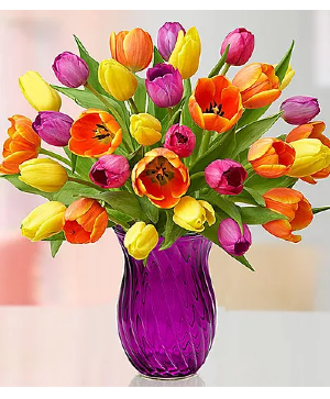Mix Tulips Bouquet All Around Arrangement