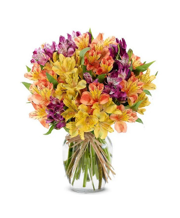 Mixed Alstroemeria in a Vase  in Livermore, CA | KNODT'S FLOWERS