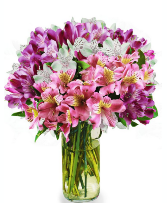 Mixed Alstromeria in cylinde vase fresh floral