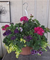 Mixed Annuals Hanging Basket - 14" Pot 