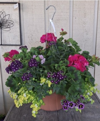 Mixed Annuals Hanging Basket - 14