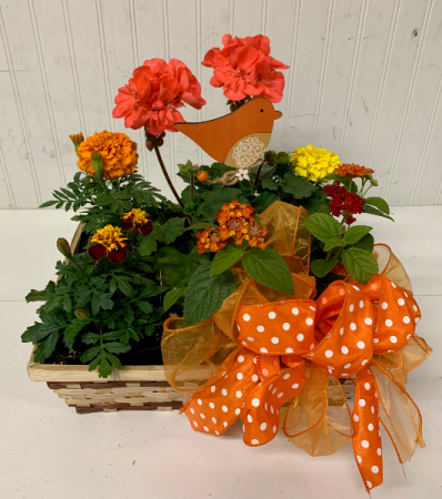 Mixed Annuals in a Square Basket
