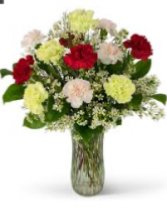 Mixed Carnations Fresh Flowers