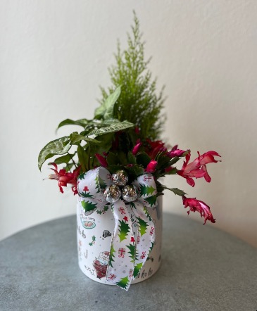 Mixed Christmas Garden  in La Grande, OR | FITZGERALD FLOWERS