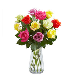 One Dozen Premium Mixed Color Roses Mixed colored  roses