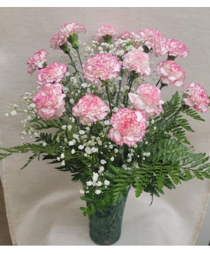 Carnations - Mixed Colors 