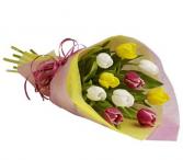 Mixed Coloured Tulips  Wrapped 