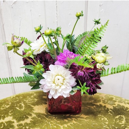 Mixed Dahlias (Small)