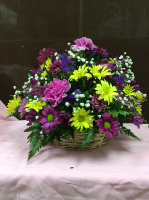 Mixed Daisy Carnation Basket Arrangement 