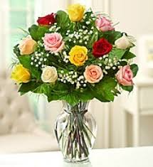 12 mixed roses
