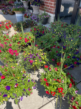 Mixed English Garden Mixed Planters Outdoor Patio Pots