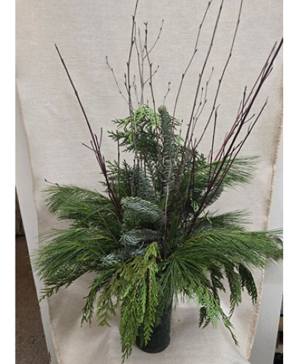 Mixed Evergreens with Birch Branches Bouquet