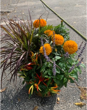 Mixed Fall Baskets 