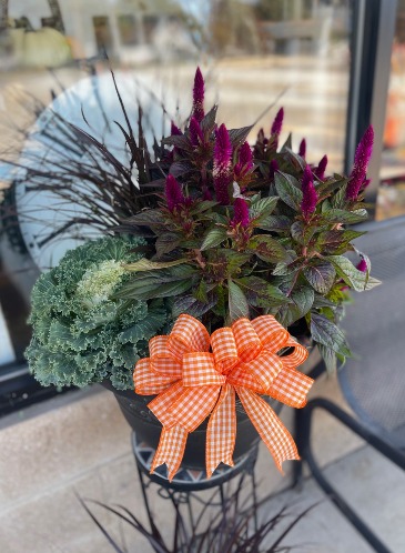 Mixed Fall Outdoors Potted Planter  in Delphos, OH | Ivy Hutch Flowers and Gifts