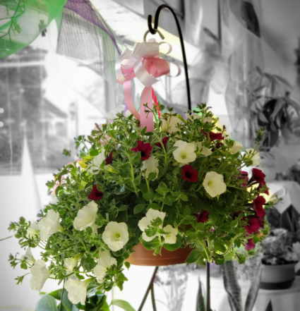 Mixed Flower Hanging Basket **Colors May Vary**