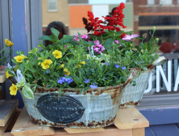 Mixed Galvanized Planter Mixed annual planter
