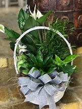 Mixed Garden Basket