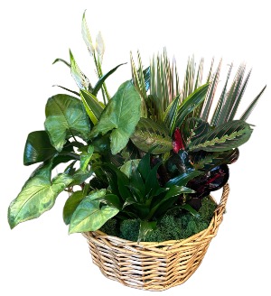 Mixed Garden Basket A Davis Floral Design