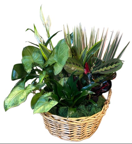 Mixed Garden Basket A Davis Floral Design
