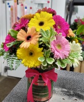 Mixed Gerveras daysies  