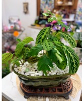 Mixed Green Garden Vintage Planter