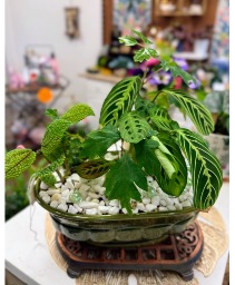 Mixed Green Garden Vintage Planter
