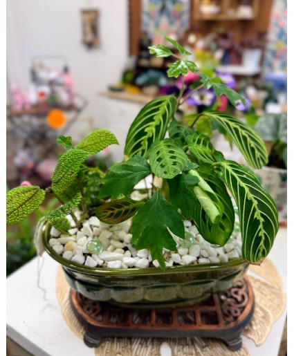 Mixed Green Garden Vintage Planter