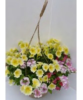 Mixed Hanging Basket for Mother's Day Outdoor