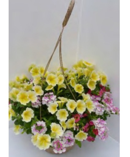 Mixed Hanging Basket for Mother's Day Outdoor