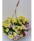 Mixed Hanging Basket for Mother's Day Outdoor